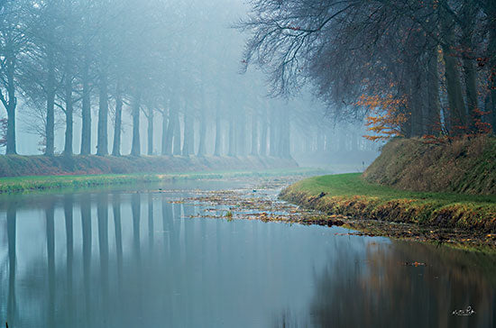 Martin Podt MPP783 - MPP783 - Foggy Reflections    - 16x12 Photography, River, Trees, Fog, Reflection, Nature from Penny Lane