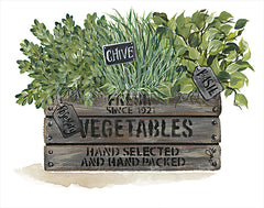 NOR105 - Indoor Herb Garden - 12x16