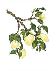 NOR107 - Squeeze the Day - 12x16