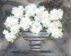 NOR194 - Snowball Hydrangeas I - 16x12