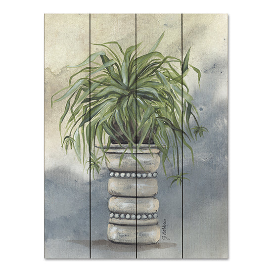 Julie Norkus NOR239PAL - NOR239PAL - Spider Plant in Pottery - 12x16 Spider Plant, Pottery, House Plant, Green Plant, Botanical from Penny Lane