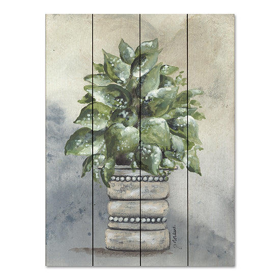 Julie Norkus NOR240PAL - NOR240PAL - Pathos in Pottery - 12x16 Spider Plant, Pottery, House Plant, Green Plant, Botanical from Penny Lane