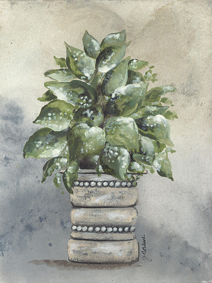 Julie Norkus NOR240 - NOR240 - Pathos in Pottery - 12x16 Spider Plant, Pottery, House Plant, Green Plant, Botanical from Penny Lane