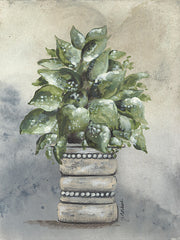 NOR240 - Pathos in Pottery - 12x16