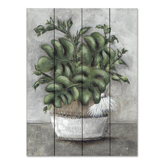 NOR254PAL - Bohemond Stare - 12x16