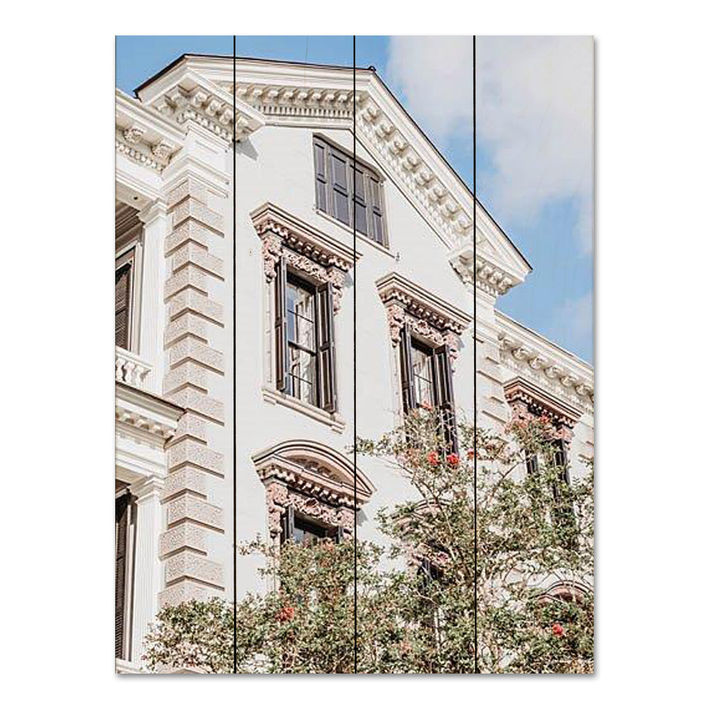 Jennifer Rigsby RIG112PAL - RIG112PAL - Spring in Charleston - 12x16 Photography, Building, Charleston, South Carolina, Spring, Architecture from Penny Lane