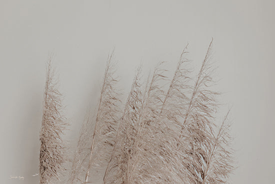 Jennifer Rigsby RIG179 - RIG179 - Pomp Style II - 18x12 Photography, Vase, Pampas Grass, Abstract, Still Life from Penny Lane
