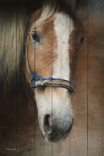 Robin-Lee Vieira RLV628 - Blaze - Horse from Penny Lane Publishing