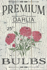 SAW107 - Dahlia Bulbs - 12x18