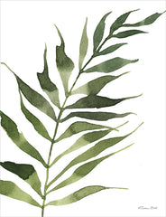 SB1106 - Fern 2  - 12x16