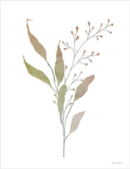 SB1122 - Watercolor Branch 3 - 12x16