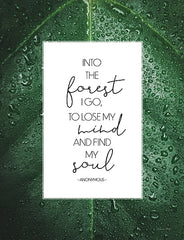 SB1156 - Into the Forest - 12x16