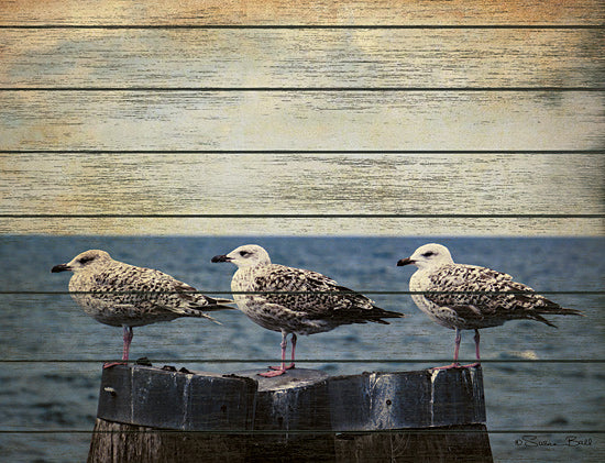 Susan Ball SB686 - SB686 - Vintage Seagulls  - 16x12 Photography, Seagulls, Ocean, Nautical, Coastal, Vintage from Penny Lane