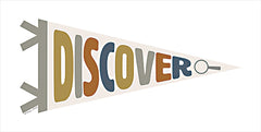 SB876 - Discover Pennant - 18x9