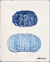 SDS115 - From the Sea 1 - 12x16