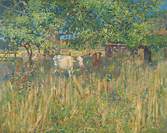 SDS1256 - Field Cows - 16x12