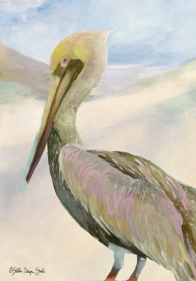Stellar Design Studio SDS126 - SDS126 - Pelican 2 - 12x18 Pelican, Coastal, Portrait from Penny Lane