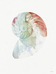 SDS1318 - Subtle Nautilus - 12x16