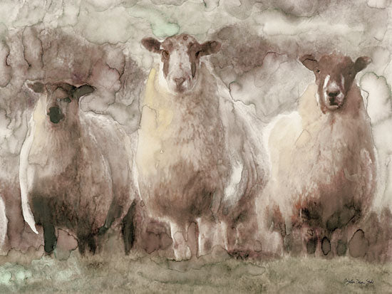 Stellar Design Studio SDS294 - SDS294 - Three Sheep - 16x12 Sheep, Portrait from Penny Lane
