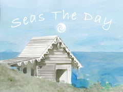 SDS313 - Seas the Day - 16x12
