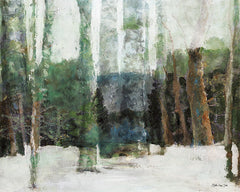 SDS322 - Winter Forest - 16x12