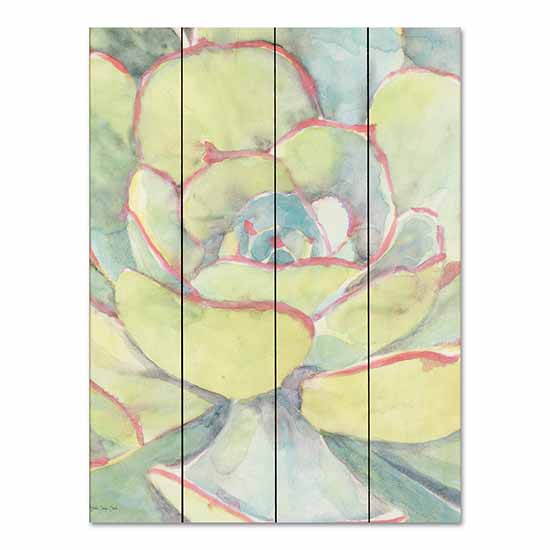 Stellar Design Studio SDS824PAL - SDS824PAL - Succulent Bloom 2 - 12x16 Succulents, Cactus, Southwestern from Penny Lane