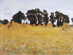 ST1002 - The Field - 16x12