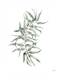 ST806 - Eucalyptus I - 12x16