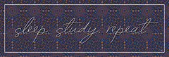 YND229A - Sleep, Study, Repeat - 36x12