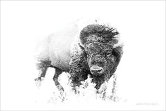 BLUE112 - Bold Minimalist Bison - 18x12