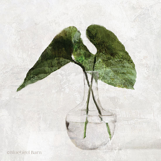 Bluebird Barn BLUE217 - BLUE217 - Stems in Glass     - 12x12 Vase, Greenery, Botanical from Penny Lane