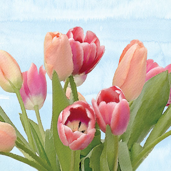 Bluebird Barn BLUE296 - Fresh Spring Tulips IV - 12x12 Flowers, Tulips, Spring, Blooms, Botanical from Penny Lane