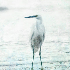BLUE350 - Beach Heron - 12x12