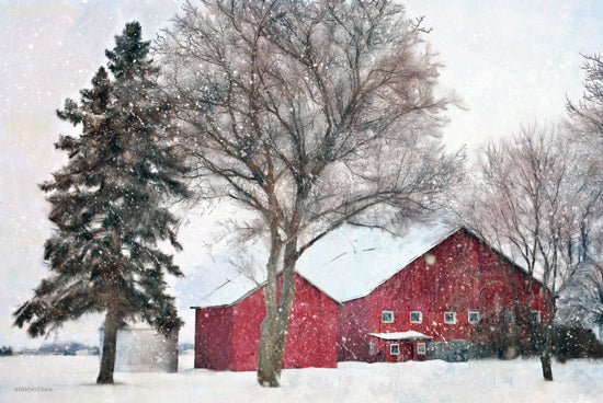 Bluebird Barn BLUE381 - BLUE381 - Snowy Barn    - 18x12 Red Barn, Snow, Winter, Trees, Country from Penny Lane