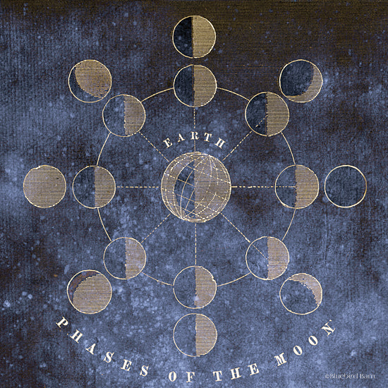 Bluebird Barn BLUE382 - BLUE382 - Vintage Celestial Moons - 12x12 Celestial, Vintage, Moons, Phases of the Phone from Penny Lane