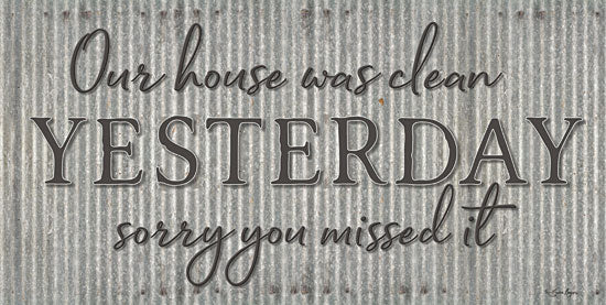 Susie Boyer BOY412 - Our House was Clean - 18x9 House, Clean, Galvanized Metal, Humorous from Penny Lane