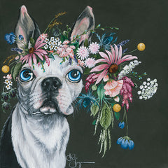 HH118 - Boston Terrier - 12x12