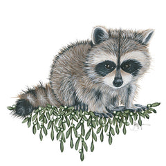 HH122 - Baby Raccoon - 12x12