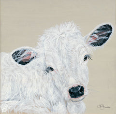 HH123 - White Calf - 12x12