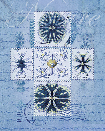 JG Studios JGS203 - JGS203 - Vintage Blue Demin - 16x12 Vintage, Patterns, Shells, Coastal from Penny Lane