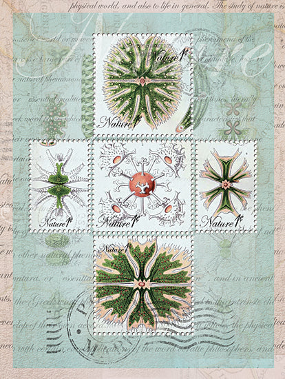 JG Studios JGS204 - JGS204 - Vintage Coastal Green - 12x16 Vintage, Patterns, Shells, Coastal from Penny Lane