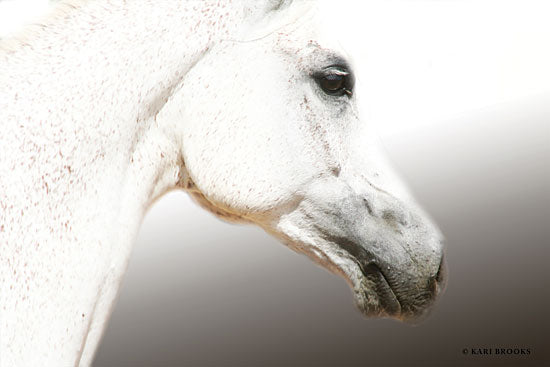 Kari Brooks KARI102 - Eye See You - 18x12 Photography, Horse, White Horse, Portrait from Penny Lane