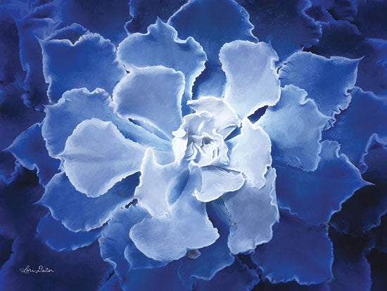 Lori Deiter LD1381 - Blue Succulent I Succulents, Blue, Cactus from Penny Lane