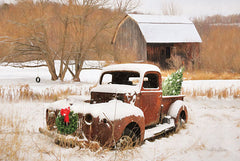 LD1515 - Christmas Lawn Ornament - 18x12