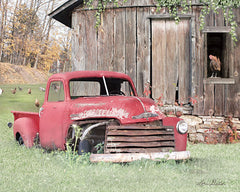 LD1656 - Red and Rusty I    - 16x12