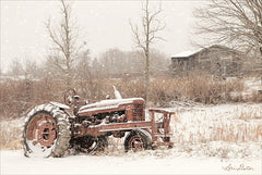 LD1693 - Snow Covered - 18x12