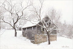 LD1698 - Bare and Cold - 18x12