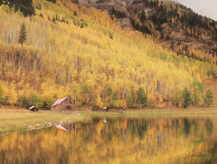 LD1822 - San Juan Cabin - 16x12