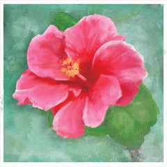 MOL2038 - Hibiscus II - 12x12