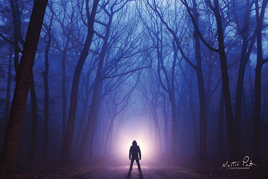 Martin Podt MPP379 - I'll Come For You - Trees, Forest, Spooky, Man, Light, Night from Penny Lane Publishing